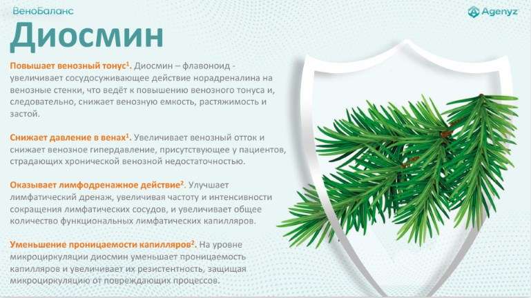 ВеноБаланс