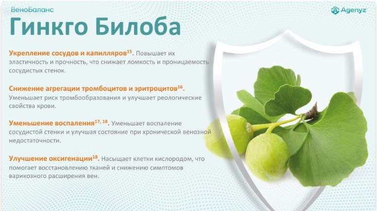 ВеноБаланс