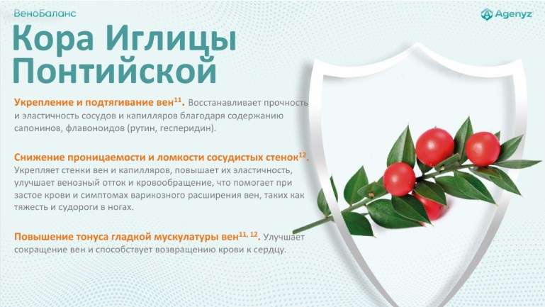 ВеноБаланс