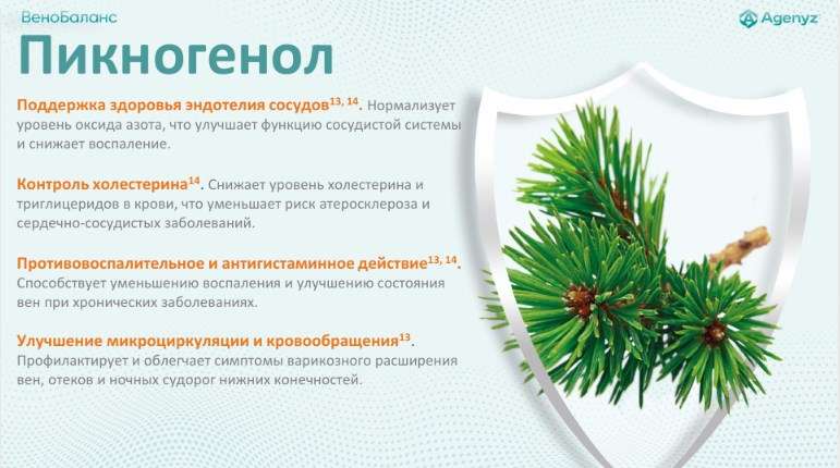 ВеноБаланс