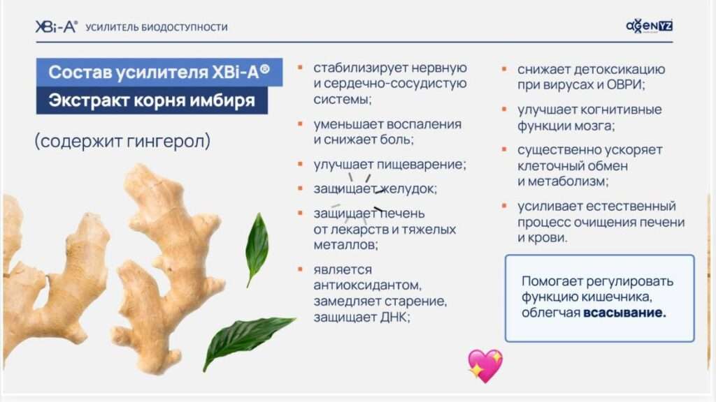 XBi-A