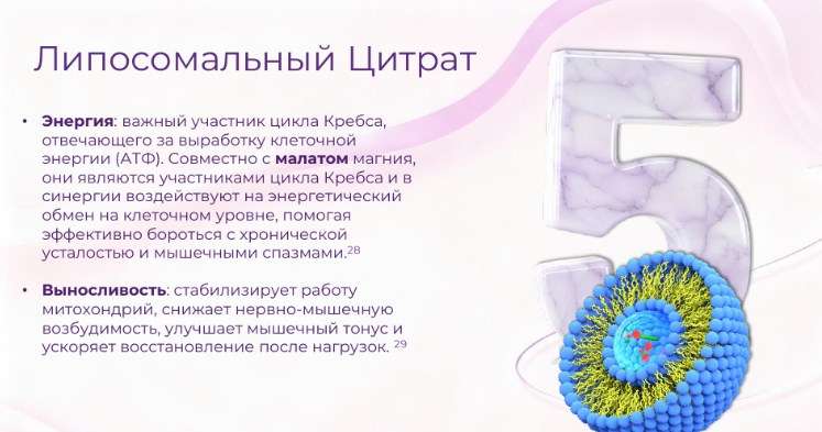ОктоМагний
